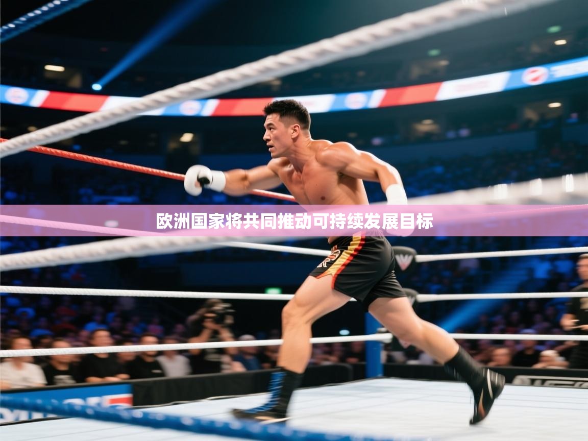 云开体育app网页版登录入口-欧洲国家将共同推动可持续发展目标 第4张