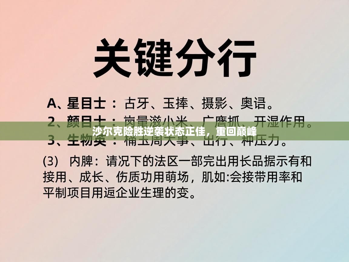 开云体育app在线-沙尔克险胜逆袭状态正佳，重回巅峰  第1张